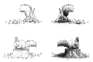 Eichhörnchen